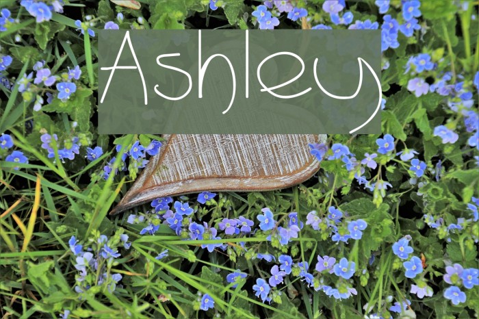 Ashley Font examples