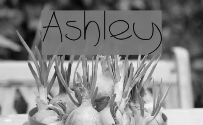 Ashley Font examples