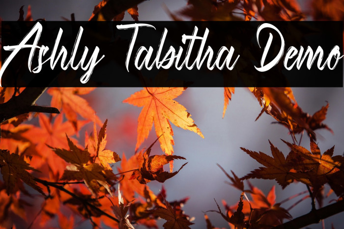 Ashly Tabitha Demo Example 2