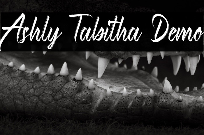 Ashly Tabitha Demo Example 3