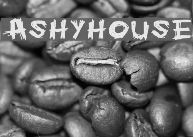 Ashyhouse Font examples