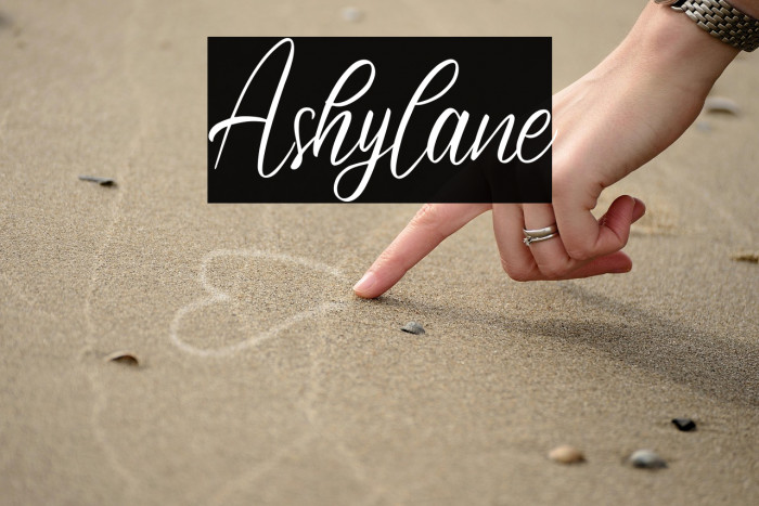 Ashylane Example 1