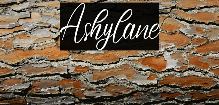 Ashylane Example 2