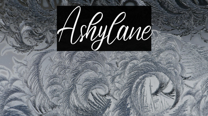 Ashylane Example 3