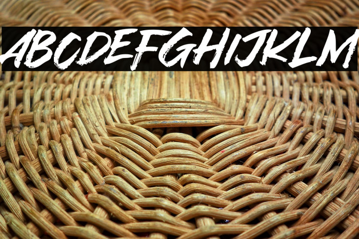 Asia Tiger Example 1