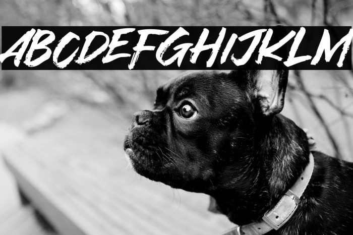 Asia Tiger Example 2