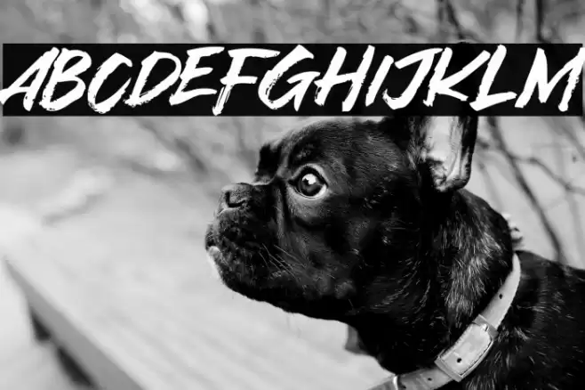 Asia Tiger Font examples