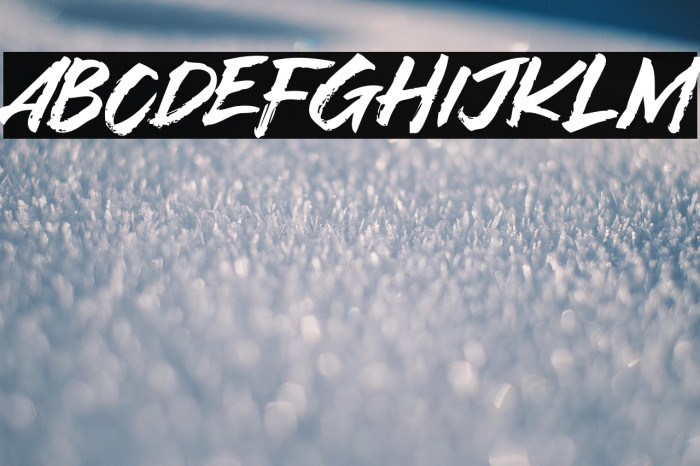 Asia Tiger Example 3