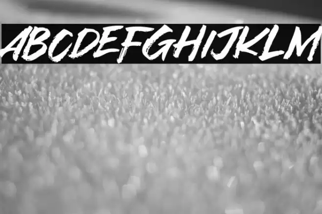 Asia Tiger Font examples