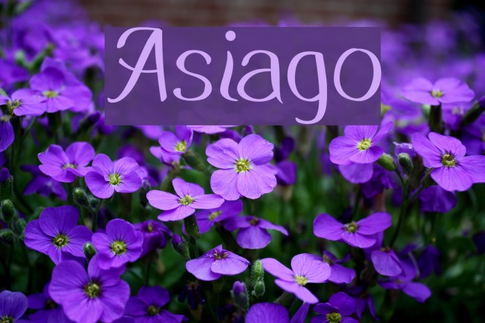 Asiago Font examples