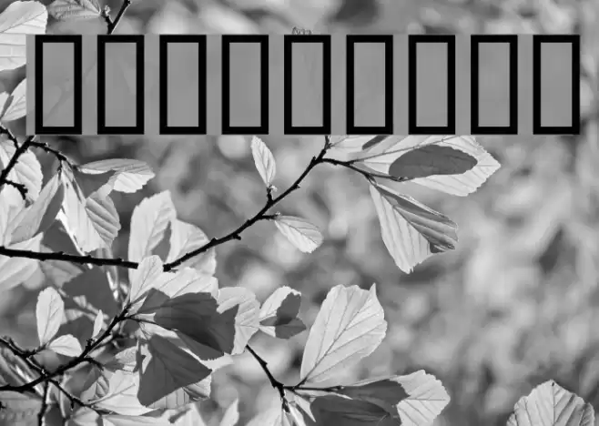 Asian Art Font examples