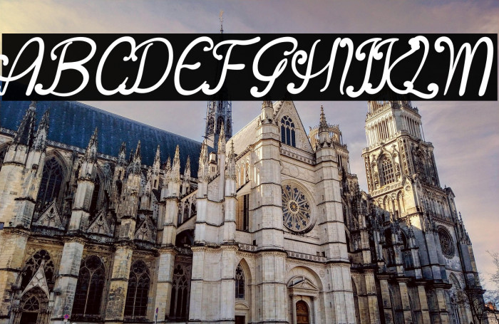 Asian Butterfly Example 2