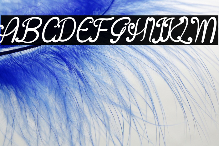 Asian Butterfly Example 3