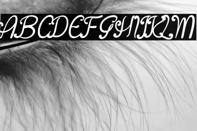 Asian Butterfly Font examples