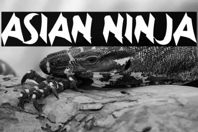 Asian Ninja Font examples