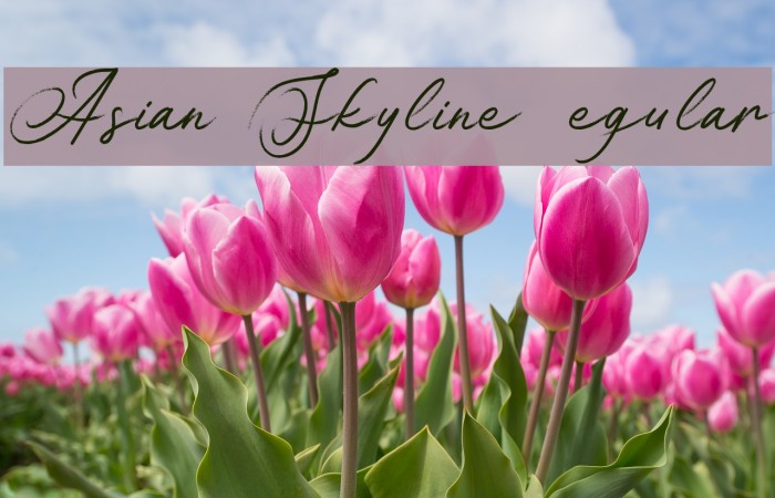 Asian Skyline DEMO Regular Font examples