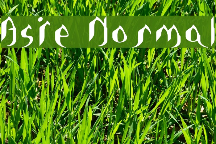 Asie Normal Font examples