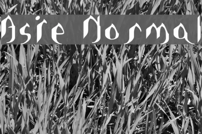 Asie Normal Font examples