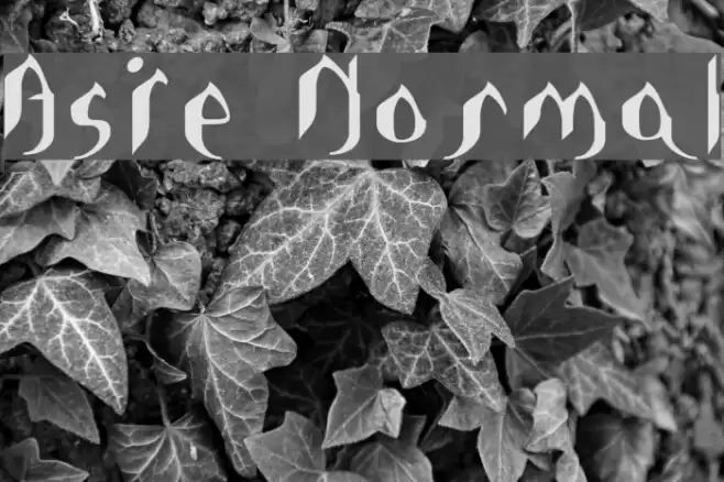 Asie Normal Font examples