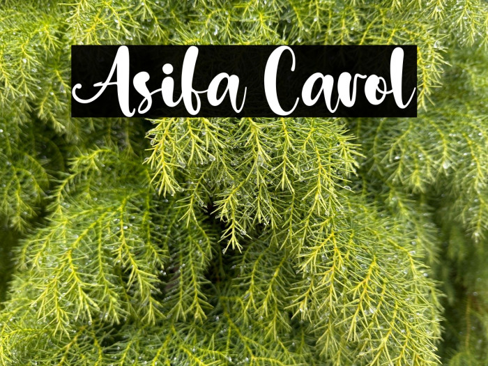 Asifa Carol Example 3