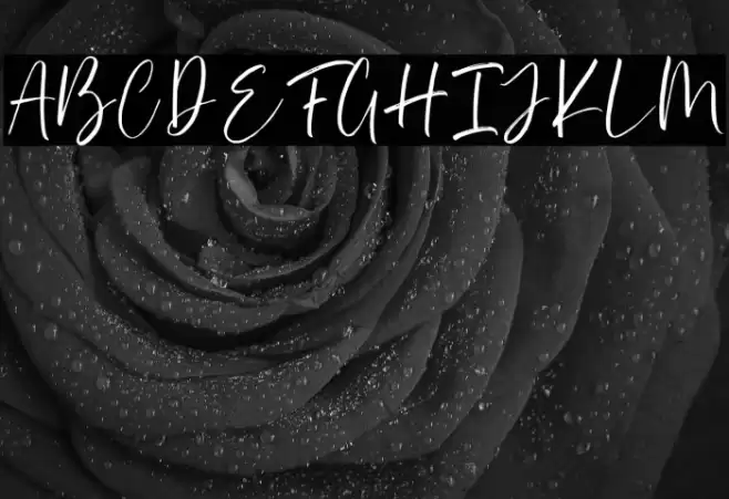 Asillynne Font examples