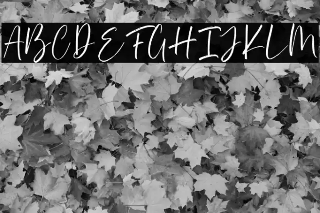 Asillynne Font examples