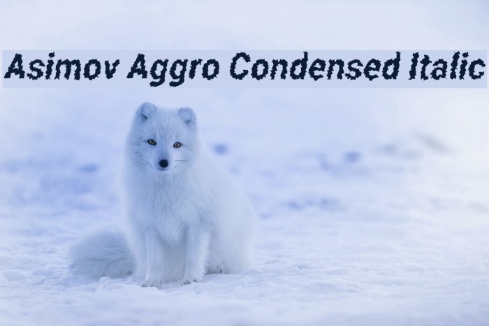 Asimov Aggro Condensed Italic Font examples