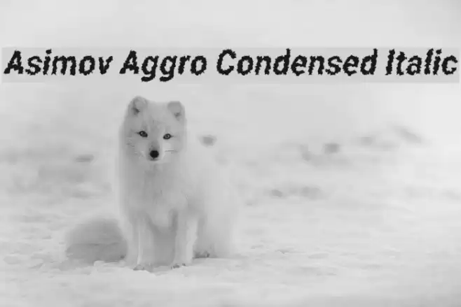 Asimov Aggro Condensed Italic Font examples