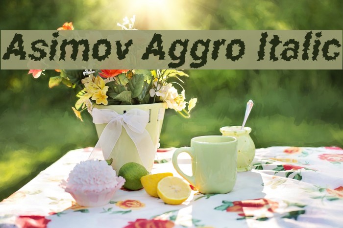 Asimov Aggro Italic Font examples