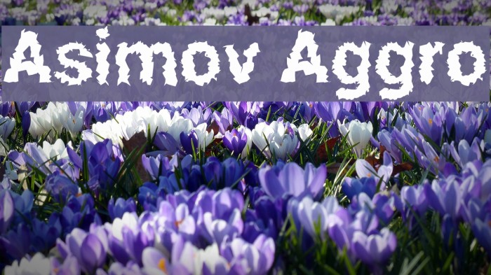 Asimov Aggro Font examples