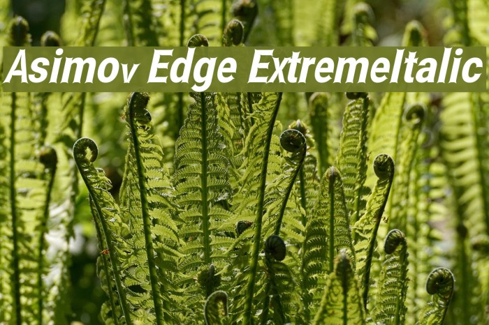 Asimov Edge ExtremeItalic Font examples