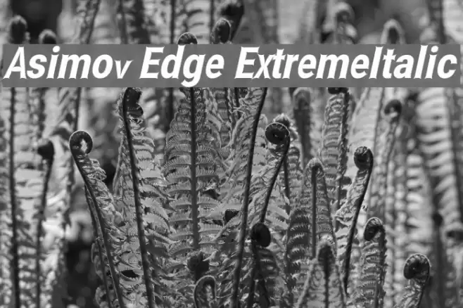 Asimov Edge ExtremeItalic Schriftart examples