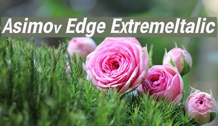 Asimov Edge ExtremeItalic Font examples