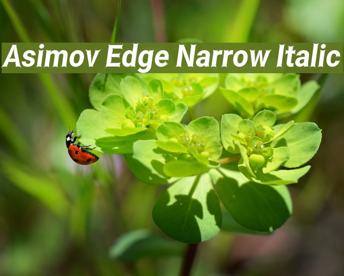 Asimov Edge Narrow Italic Font examples