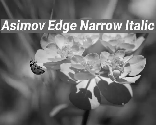 Asimov Edge Narrow Italic フォント examples