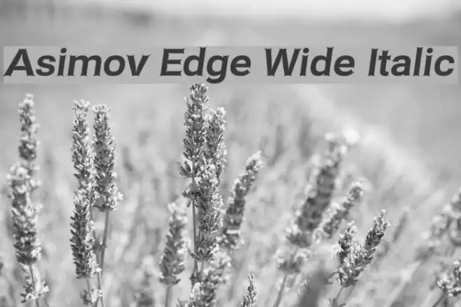 Asimov Edge Wide Italic Fuentes examples