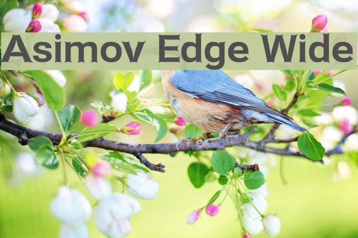 Asimov Edge Wide Font examples