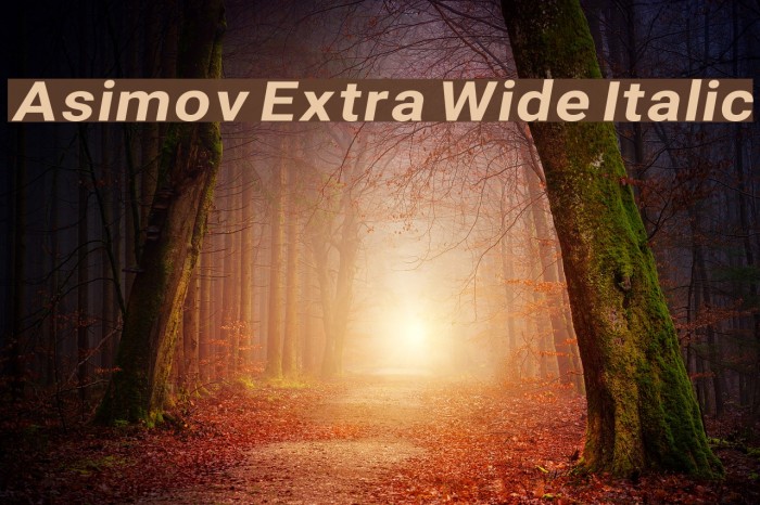 Asimov Extra Wide Italic Font examples