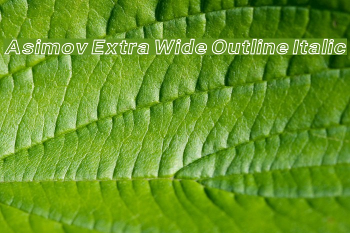 Asimov Extra Wide Outline Italic Example 3