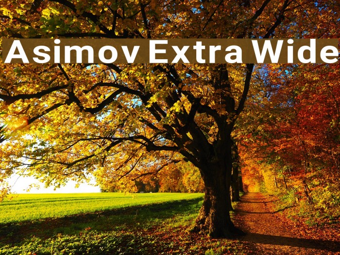 Asimov Extra Wide Font examples
