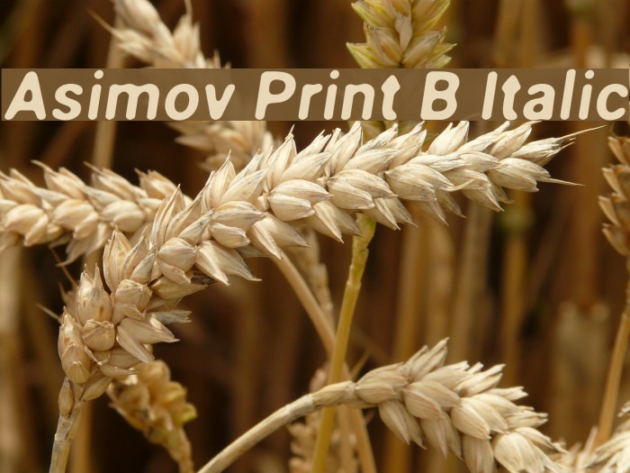 Asimov Print B Italic Font examples