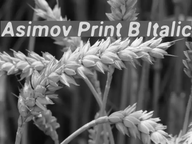 Asimov Print B Italic Fuentes examples