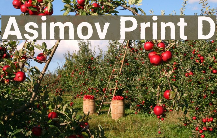 Asimov Print D Font examples