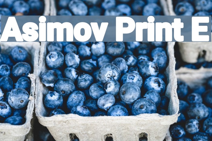 Asimov Print E Font examples