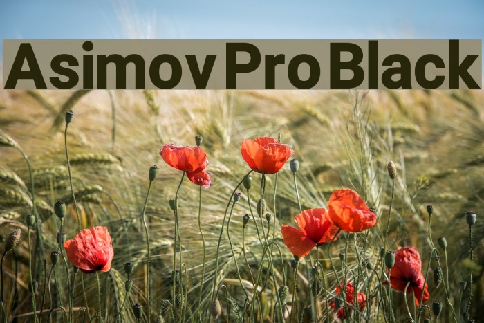 Asimov Pro Black Font examples