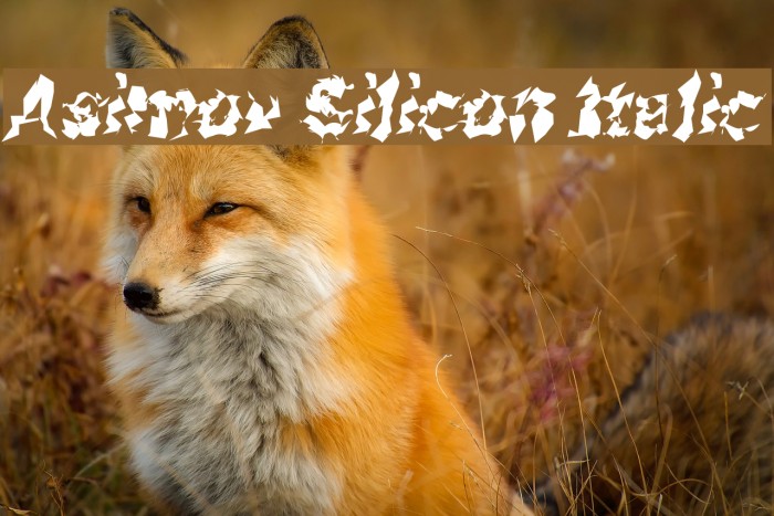 Asimov Silicon Italic Example 1