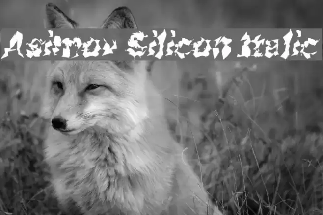 Asimov Silicon Italic Font examples