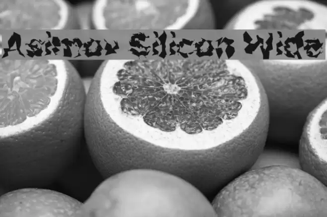 Asimov Silicon Wide フォント examples