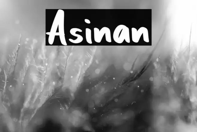 Asinan Font examples