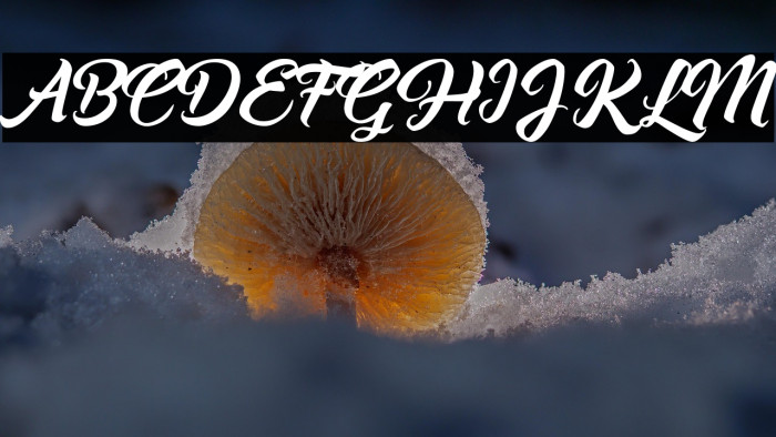 Asiyah Script Example 1